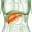 엔플러스병원 이미지