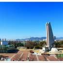 을숙도 생태공원 이미지