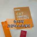 거부네집 | 캣디피 고양이 덴탈 스프레이 효과 솔직 후기, 양치 거부묘도 가능
