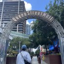 새소망푸드뱅크 | [🇦🇺호주 브리즈번]신혼여행 2일차 #1(브리즈번 스카이타워 &gt; 보타닉가든 &gt; 사우스뱅크)_251019