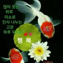 삼흥공구전기 이미지