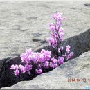 주공4단지약수터