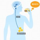 경희정답다한의원 | 비만침 가격 궁금하시죠? 한의원 다이어트 비용 공개