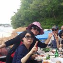 솜니움트리 이미지