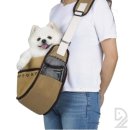 해피데이애견 이미지