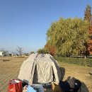 교촌치킨 금곡점 | 제목 없음 11월 일상(3)