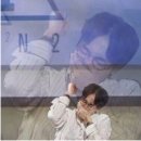 포포라레