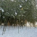 명월갈비 이미지