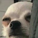 타이짬뽕 이미지