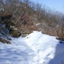 고령초교 이미지