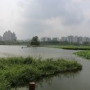 송죽초등학교 이미지