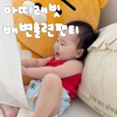 아띠슈 - 성북구 보문로 173 | 아기 배변훈련 시작 필수템 아띠래빗 배변훈련팬티 솔직 후기
