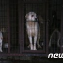 휴거리농장 뉴스1