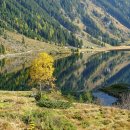 김천물소리생태숲_#2 이미지