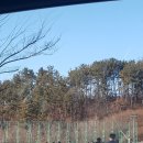 중구다목적구장 이미지