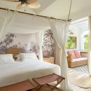 파라다이스 코브 이미지