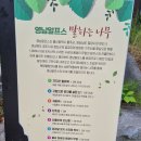 울산근교 나들이 이미지