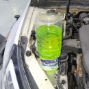 지디카프라자 이미지