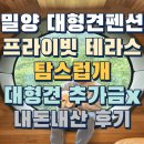탐스럽개 | 밀양 애견동반펜션 탐스럽개 내돈내산 후기 제발가주세요