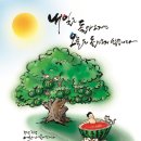 수박나무