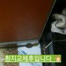 나이스젠틀맨