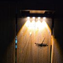 미술심리치료 7회차: 내면 탐색과 긍정 변화