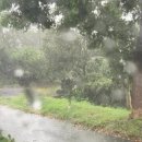 표선리-21 이미지