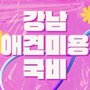 [국비지원] NCS(국가직무능력표준) 인지활동전문강사양성 (내일배움카드) | 강남애견미용국비 지원받고 6개월 다녔는데 가위질 못 하는 이유