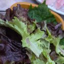 현수네회수산 - 422888 | 현수네회수산