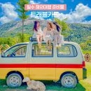 트래블카드 종류 추천 트래블로그 발급 필수 해외여행 준비물