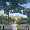 향림어린이공원 이미지