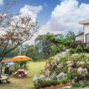 별내리는 펜션 이미지