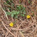 가야사슴민박 이미지