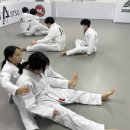 아트 주짓수 레슬링 이미지