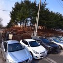 마스타성남정자1호점 | 성남시 식물원 목공 체험장 가족목공 후기 주차정보 입장료 예약