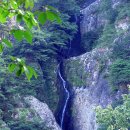 계곡풍경 이미지