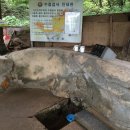 동원천 이미지