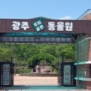 광주 우치공원 동물원 이미지