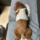 에이치에이피 이미지