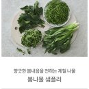 다본기획