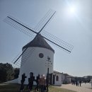 제주랜드 | 제주 에코랜드 후기 |기차여행+동물체험+포토존 총정리