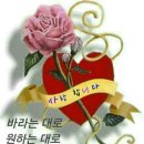 선상동로 이미지