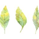 수재샵파주금촌 이미지