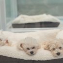 오동마을 이미지