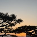 설레임 스토리 펜션 | [경주가성비숙소] 불국사 토함산 바로 앞 일몰이 아름다운 설레임 스토리 펜션