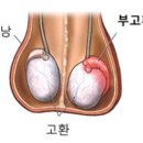 버금공원 배드민턴장 이미지