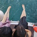 대한민국 세탁소 이미지