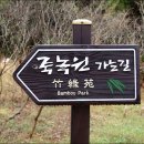 죽녹원마을 이미지