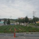 시곡3통마을회관 이미지