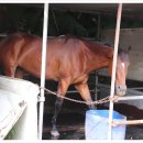 인천맛집 유천가든 이미지